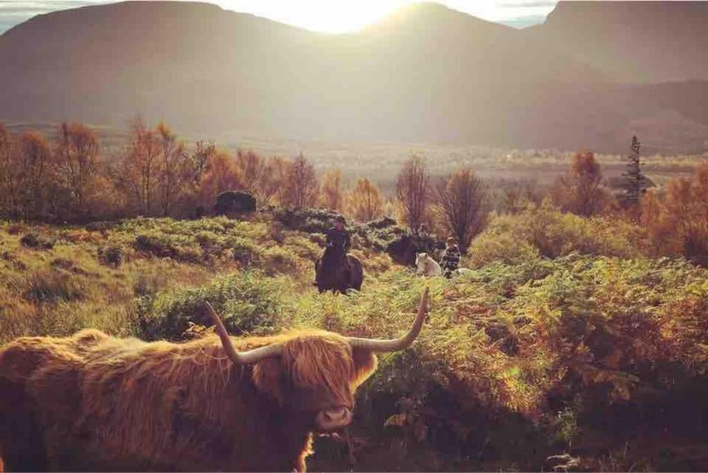 Wild Nurture Eco Luxury Offgrid Log Cabin Fort William Exterior photo