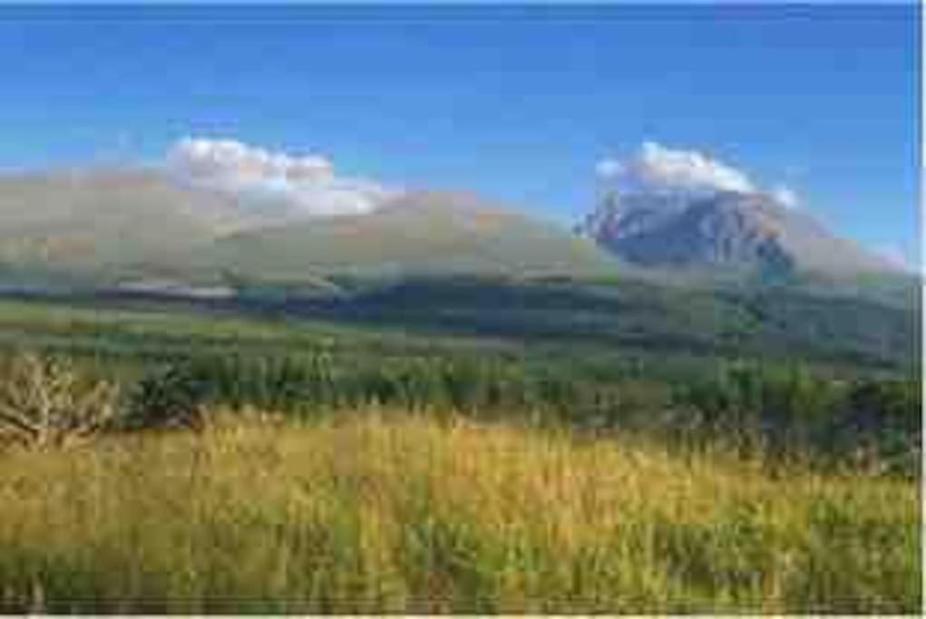 Wild Nurture Eco Luxury Offgrid Log Cabin Fort William Exterior photo