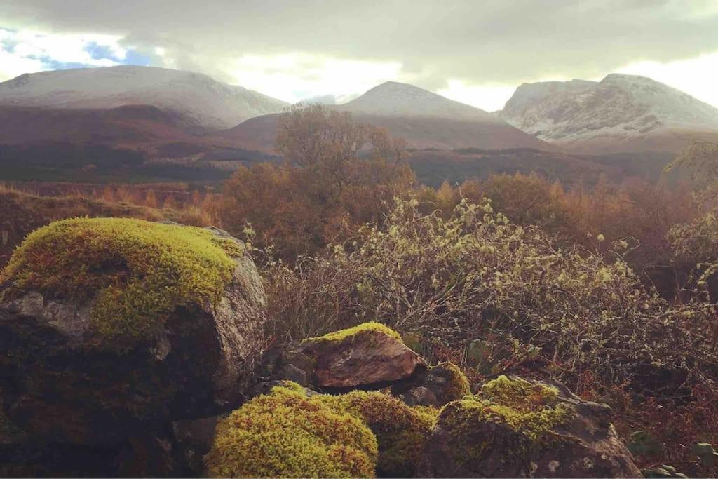 Wild Nurture Eco Luxury Offgrid Log Cabin Fort William Exterior photo