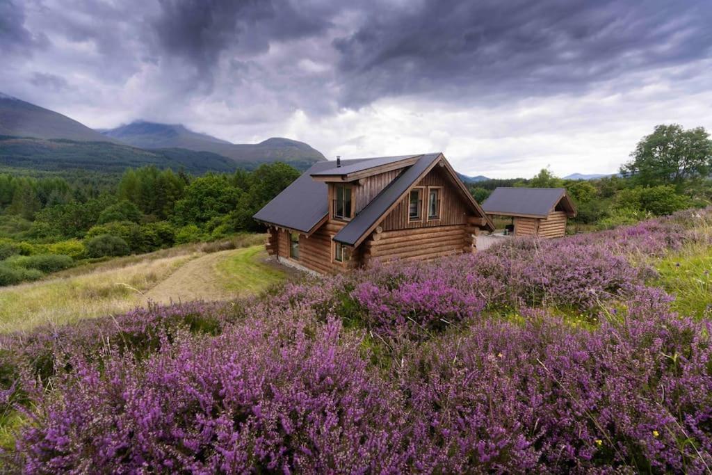 Wild Nurture Eco Luxury Offgrid Log Cabin Fort William Exterior photo