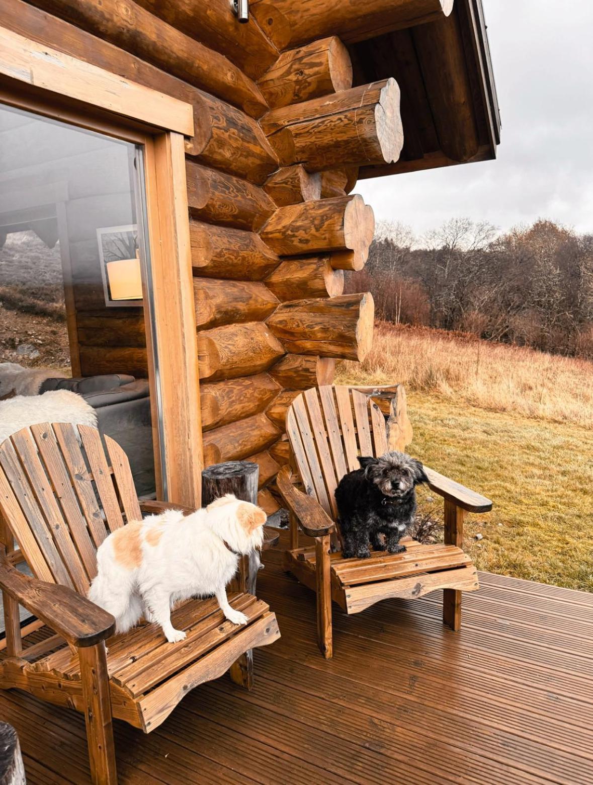 Wild Nurture Eco Luxury Offgrid Log Cabin Fort William Exterior photo